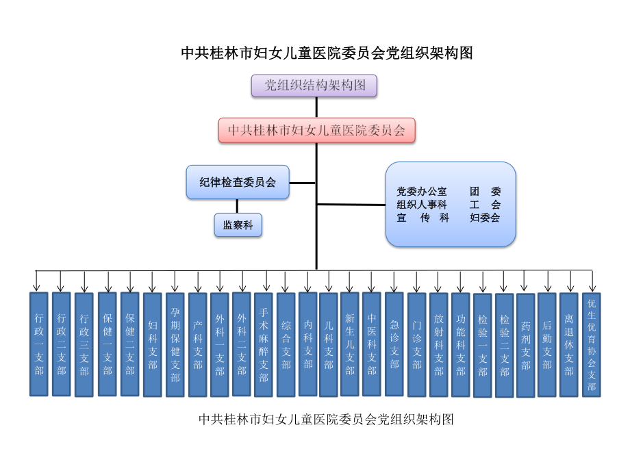 桂林市妇女儿童医院党组织框架图