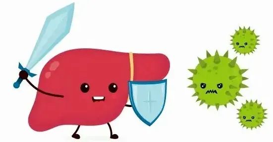 关注 | 专家提醒:除了HPV疫苗,还有一种疫苗也是非常有必要接种!