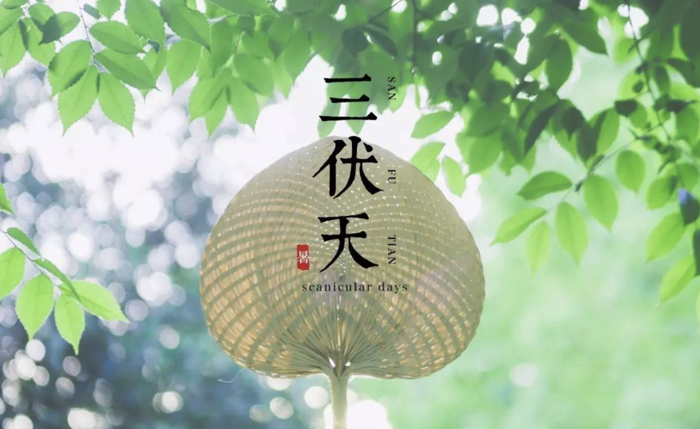 除了三伏贴，冬病夏治还有这些方法！